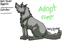 Adopt one Free!