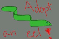Adopt an eel!