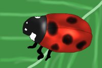 Ladybird for cuiepie718