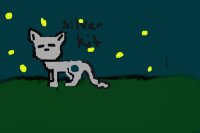 adopt a warrior cat and join the night clan