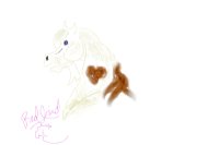 Scarlet Angel (Redbird)~ Paint mare