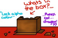 What's in the box??