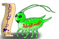 Aphid´s to adopt!