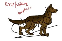 G.S.D/ Wolf Dog Adoption- CLOSED