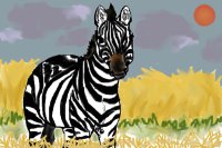 Zebra At Dusk~