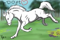 adopt a pony ^^