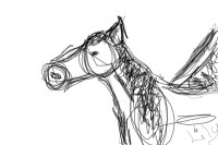 Sketch of Horse