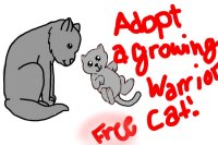 ADOPT GROWING WARRIOR CAT! FREE!
