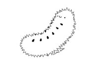 Hoard Thread Lines - Caterpillar