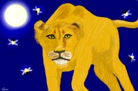 The lion and the fireflies