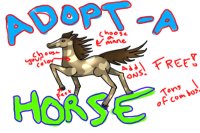 Adopt-a Horse!