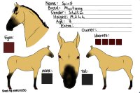 Equine Domain Adoptions - Spirit