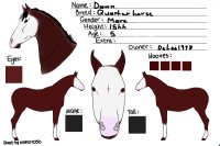 Equine Domain Adoptions - Dawn (CUSTOM)