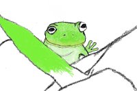 frog WIP