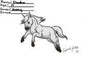 Greenhill Adoptables - Gray Shetland Pony