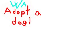 Woof adoptery xD