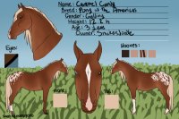 Custom Model Horse {Concept}