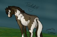 Silver Paint Grullo Horse