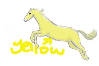 YELLOW THE HORSE