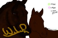 Mare and foal W.I.P