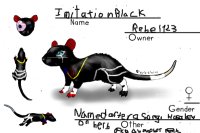 Imitation Black the Rat