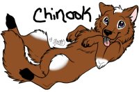 Chinook being all cute and junk