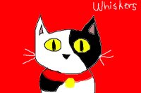 Whiskers the Cat
