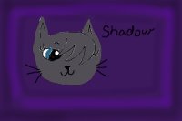 Shadow the Cat
