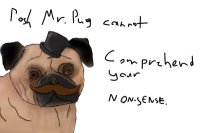Posh Mr. Pug