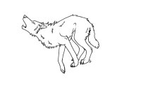 Arched Wolf