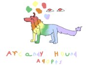 Afcandy Hound Adopts