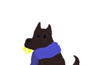 Dog with a scarf
