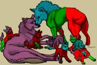 The Family of wolves! =D