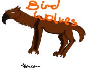 Bird Wolf Adopts