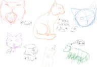 [Very sloppy] Kitty sketches! :D