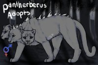 Pantherberus adopts