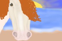 my horse at the beach