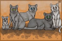 Group of Cats