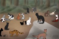 All the cats I ever roleplayed :D
