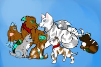 wip puppies