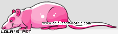 Chicken Smoothie Fan Club Pet