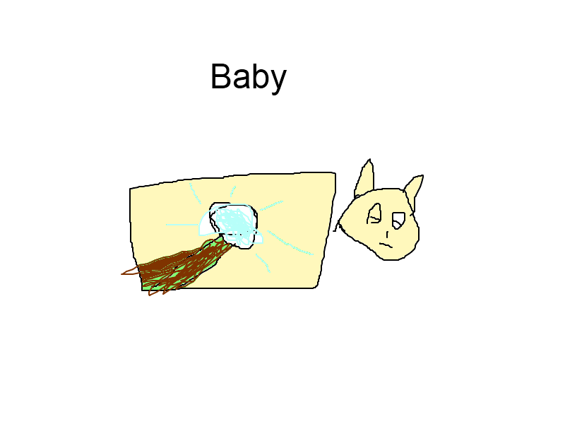 Litter suggestion baby.png