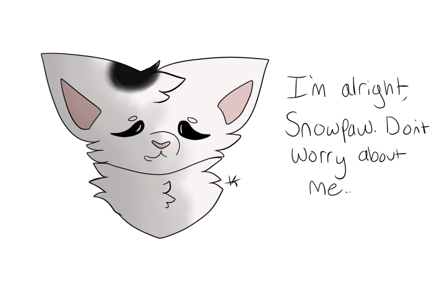 flurrypaw by me.png