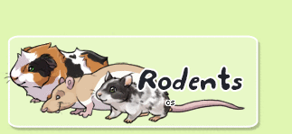 rodents