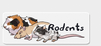 rodents.png
