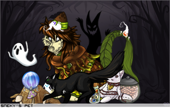 Dressed pet