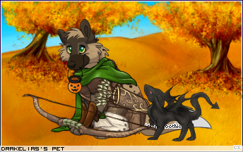 Dressed pet