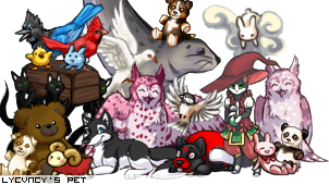 Dressed pet