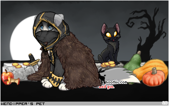 Dressed pet