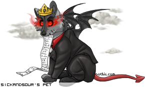 Dressed pet